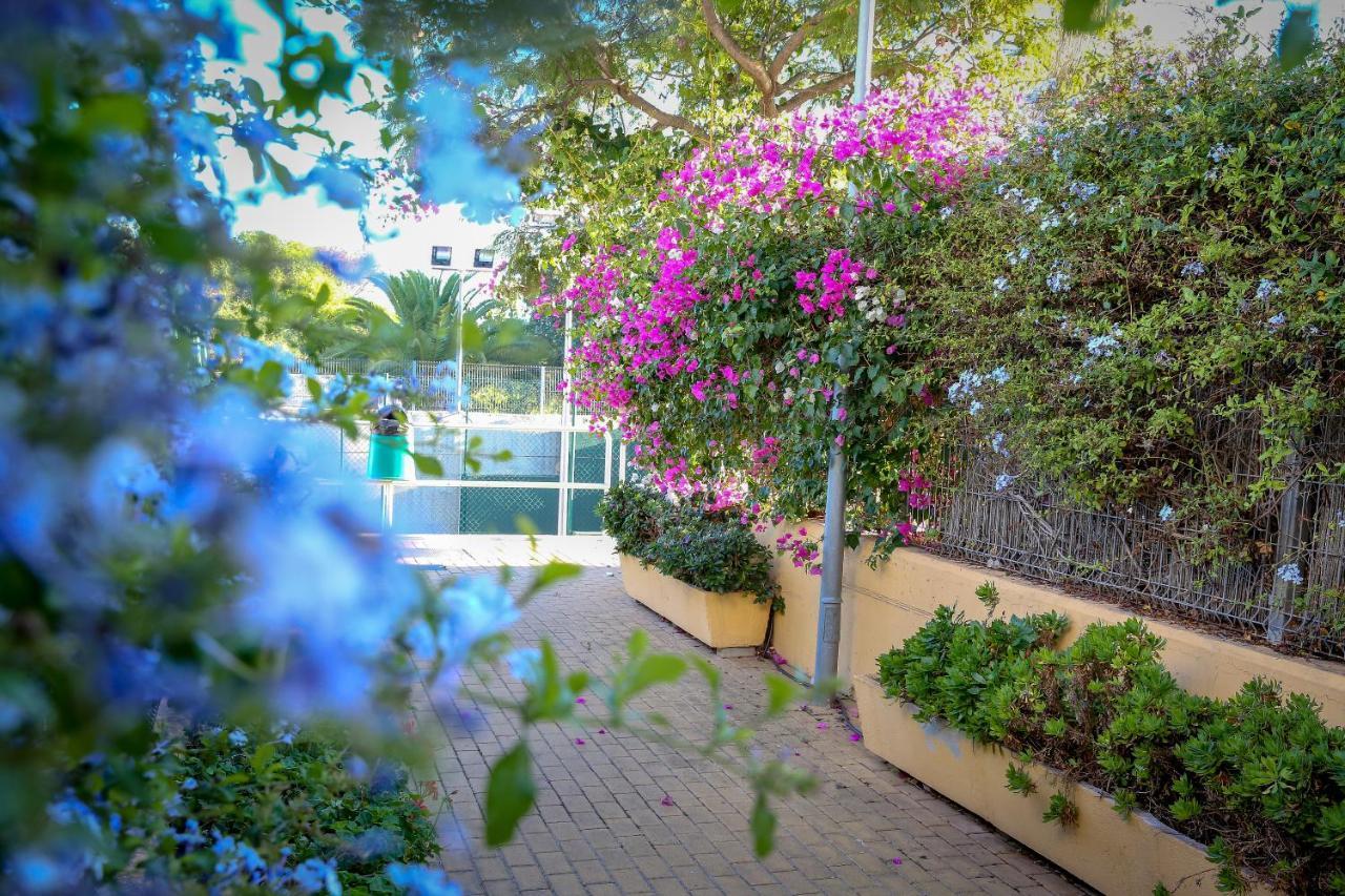 Montesol Home - Parking Gratis Ayamonte Bagian luar foto